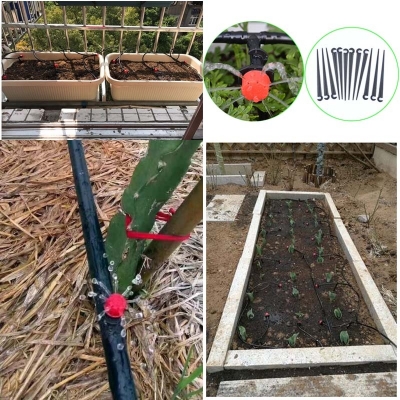 bo dau phun va ong cho tuoi tu dong