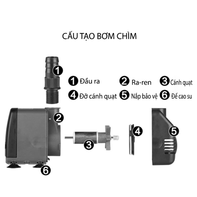 may bom chim khong choi than