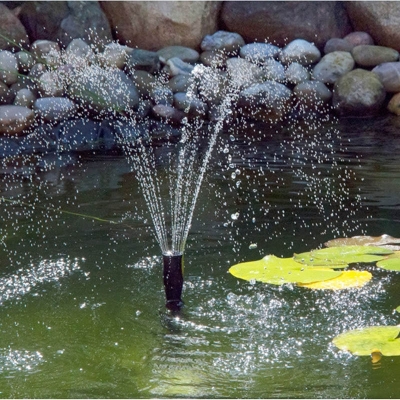 bom tieu canh trang tri