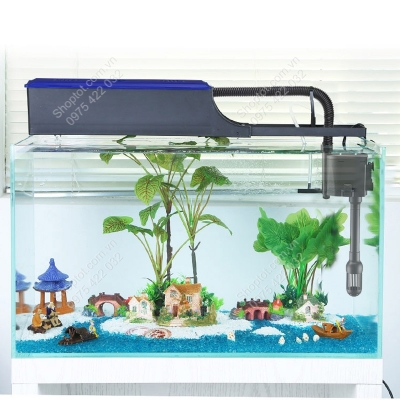 bom loc kiem cap khi cho be ca canh