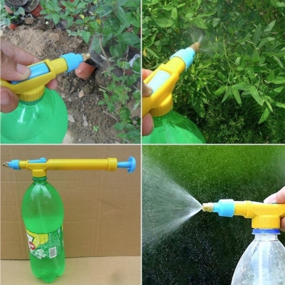 dau xit gan chai tuoi cay