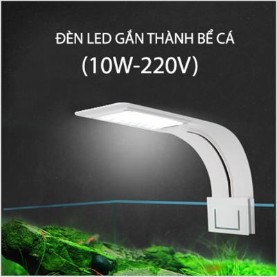 den led chieu sang be ca