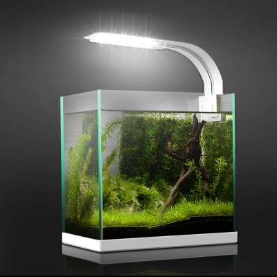 den chieu sang be ca