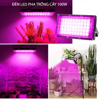 den led pha chuyen trong cay 100W