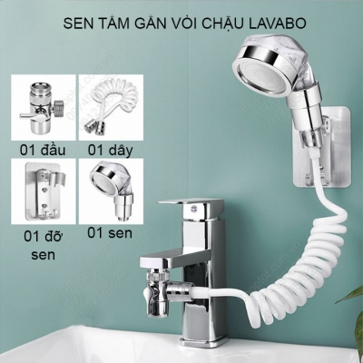 sen tam gan voi chau rua