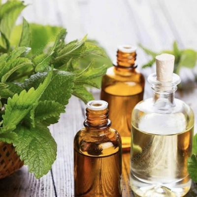 chiet xuat tinh dau bac ha