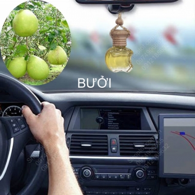 tinh dau buoi treo xe oto