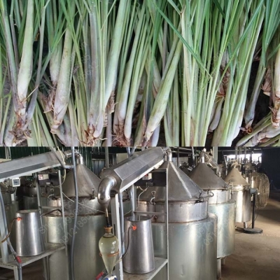 tinh dau sa nguyen chat 100%