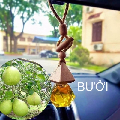 tinh dau buoi tro xe o to