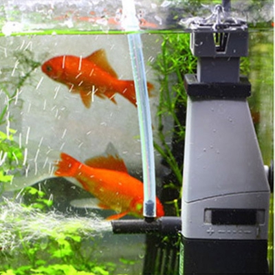 bom loc vang dau mo be ca