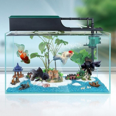 bom cap khi cho be ca