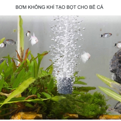 may sui tao bot oxy be ca