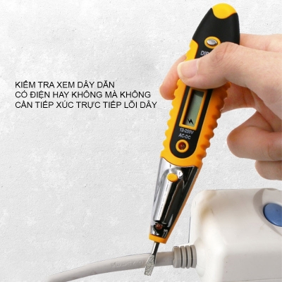 but thu dien da nang