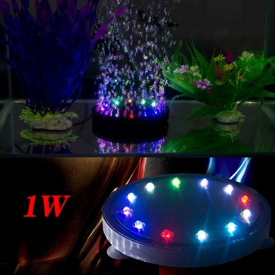 den led chieu sang be ca tu doi mau