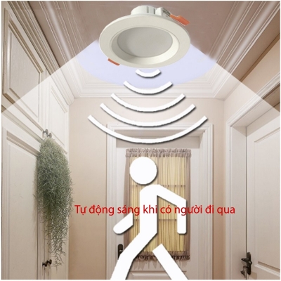 den led am tran cam bien chuyen dong radar