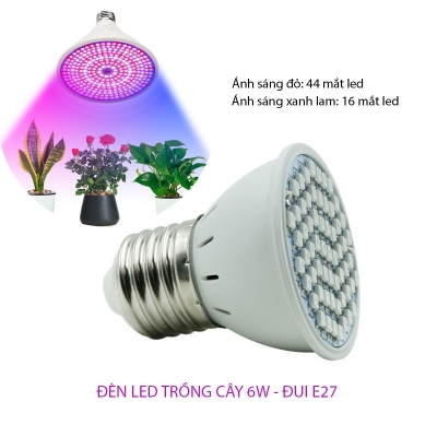 den led trong cay trong nha 6W