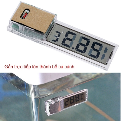 nhiet ke gan thanh be ca canh