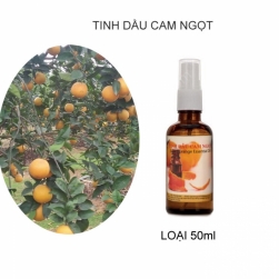 Tinh dầu Cam ngọt 100% nguyên chất lọ 50ml