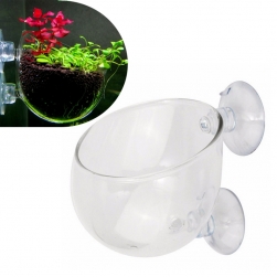 Cốc thủy sinh gắn thành bể trồng cây trang trí trong bể cá cảnh 70x65mm